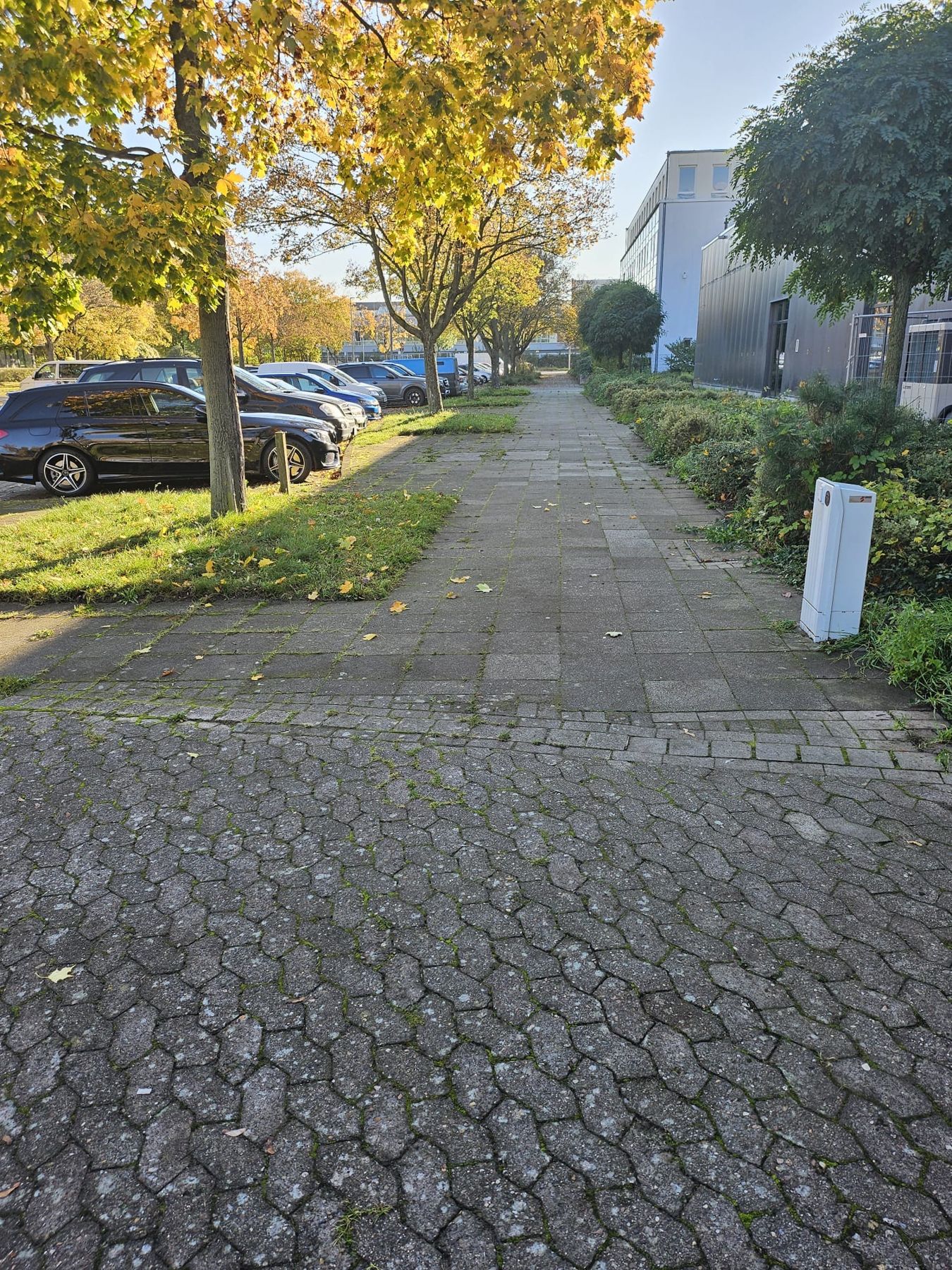 Gehweg mit gereinigtem und ungereinigtem Pflaster