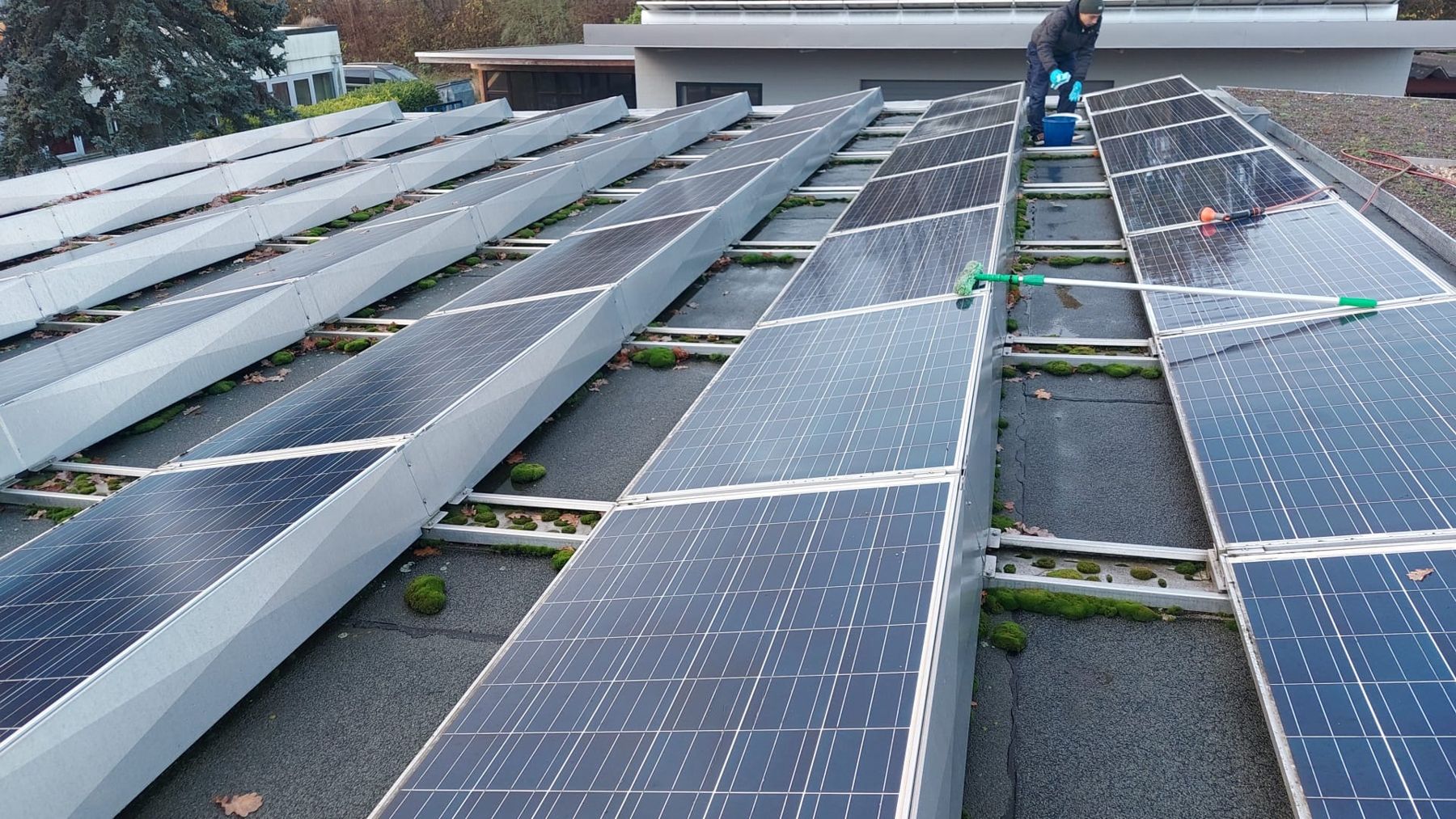 Mitarbeiter reinigt Solarmodule auf einem Flachdach