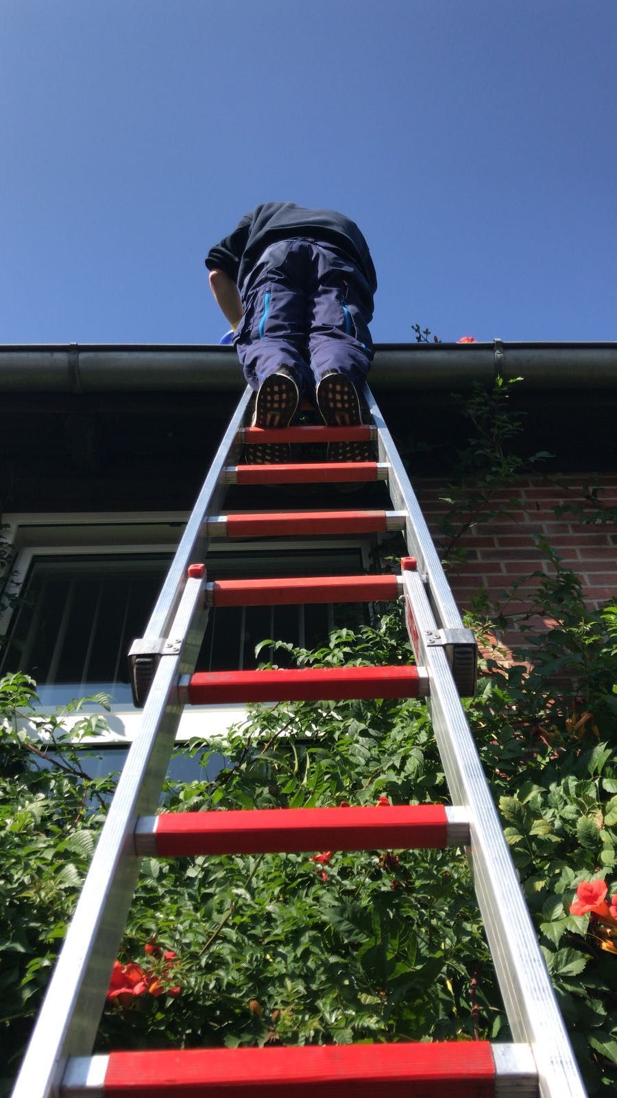 Mitarbeiter auf einer Leiter an einer Hausfassade